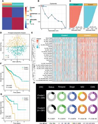 Stemness Refines the Classification of Colorectal Cancer With Stratified Prognosis, Multi-Omics Landscape, Potential Mechanisms, and Treatment Options